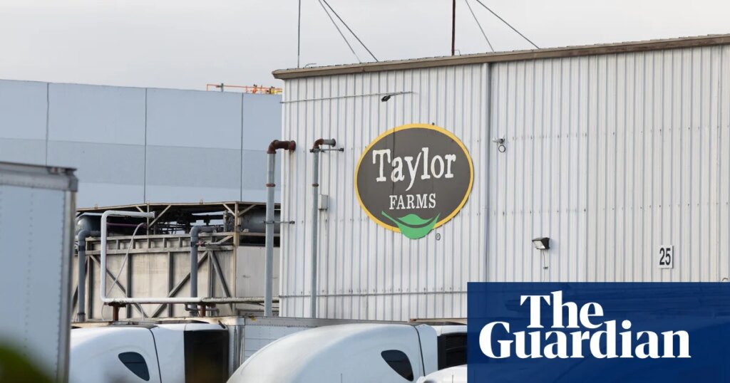FDA says review of Taylor Farms lettuce shows cyclospora finding was false positive | US news