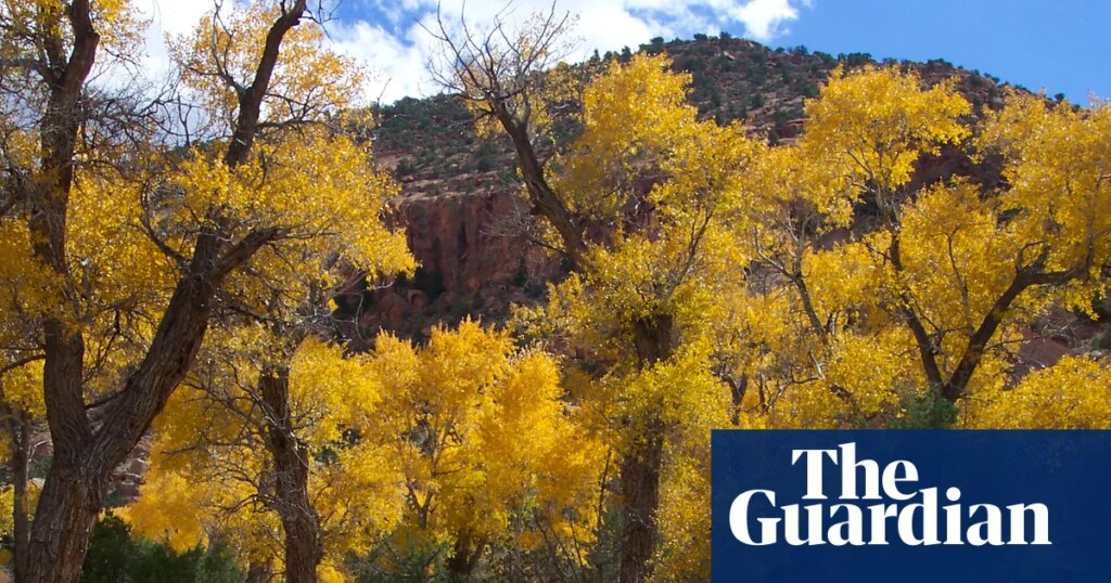 Five family members found dead after flash flood in Utah canyon, police say | Utah
